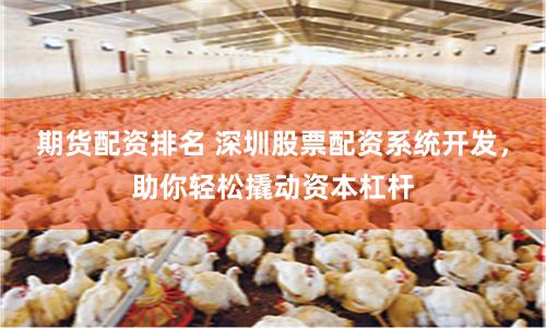 期貨配資排名 深圳股票配資系統開發，助你輕松撬動資本杠桿